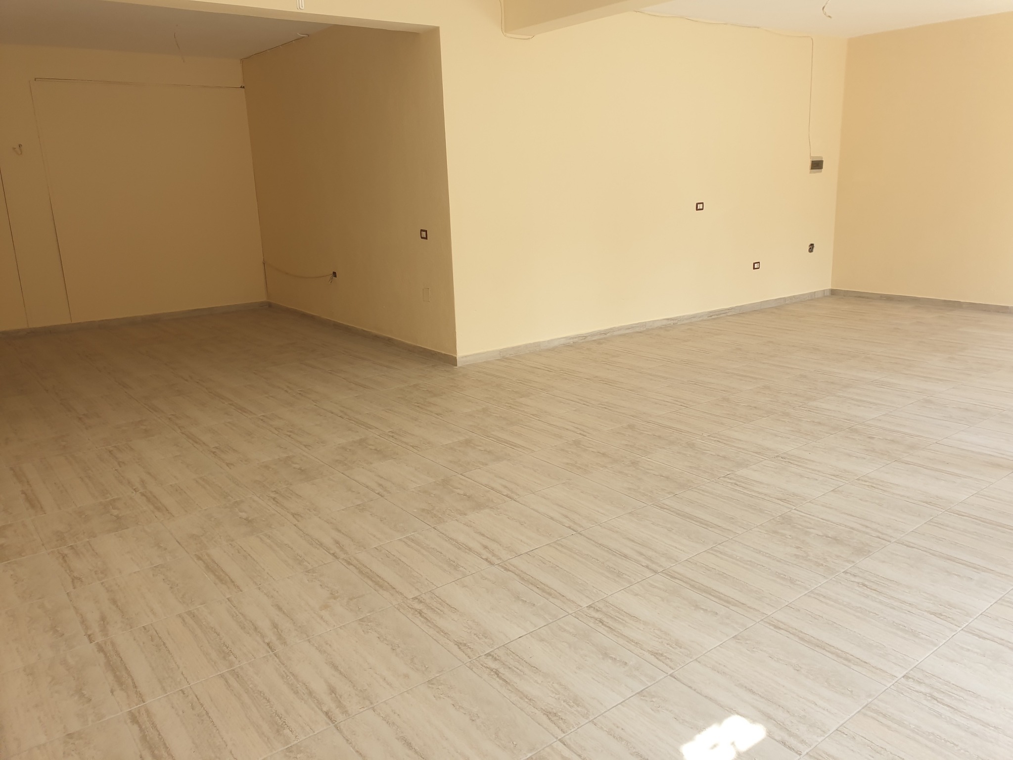 Shitet hyrje 2+1+2 + studio me sip: rreth 200 m²